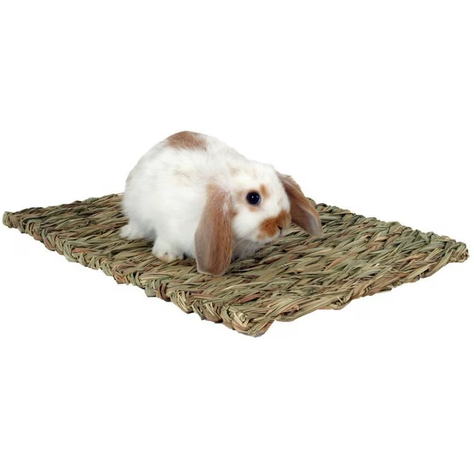 Marshall Woven Grass Mat for small pets